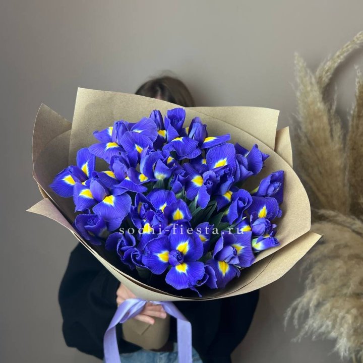 Ирисы в Якутске