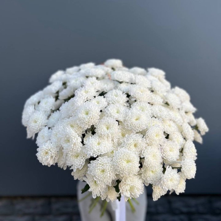  25 хризантем белых в Якутске