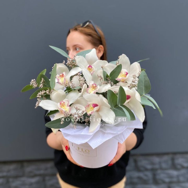 7 орхидей в боксе в Якутске