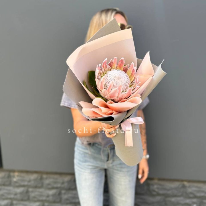 Протея мини  в Якутске