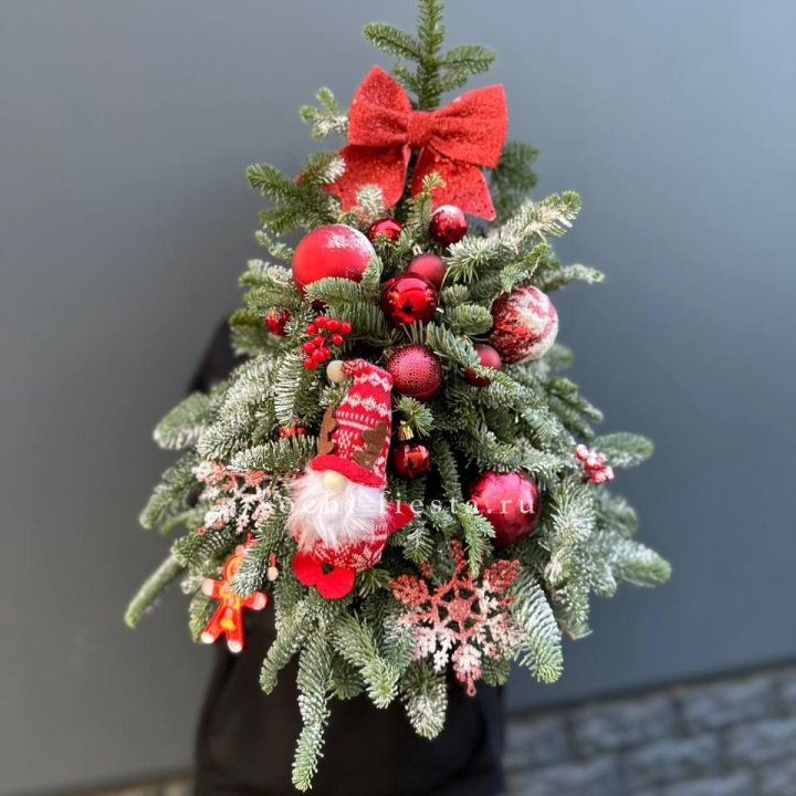 Новогодняя елочка "Ред" в Якутске