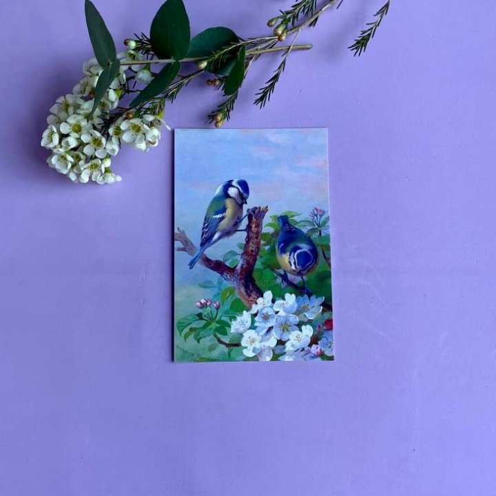 Открытка к букету "Птицы" в Якутске