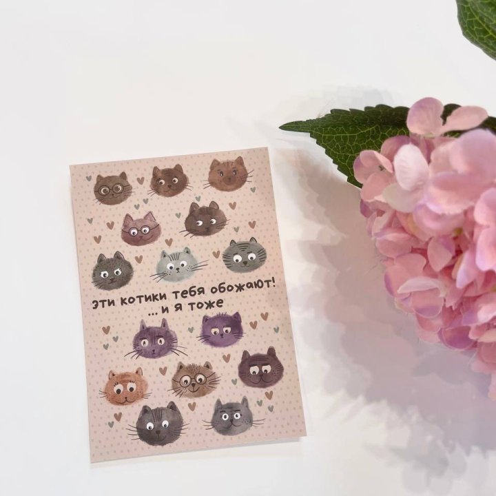 Открытка к букету "Котики" в Якутске