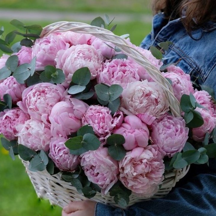 51 пион в корзине в Якутске