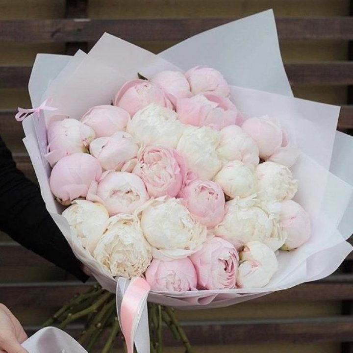 29 пионов в Якутске