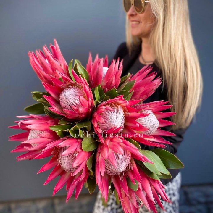 Протея штучно в Якутске