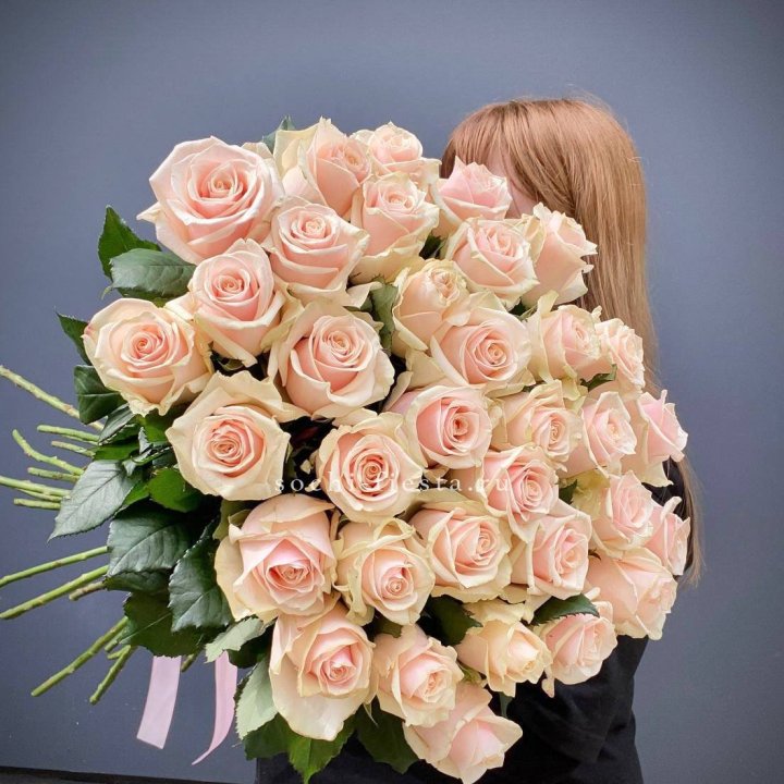 35 кремовых высоких роз в Якутске