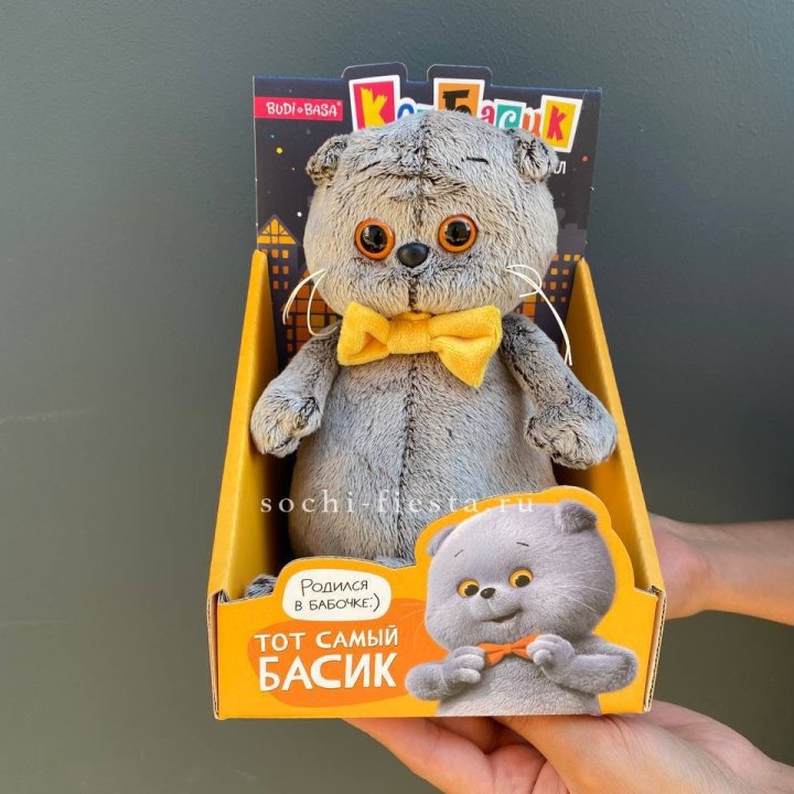 Кот Басик с бабочкой в Якутске