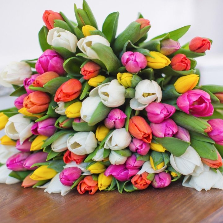 79 тюльпанов "Рандом" в Якутске