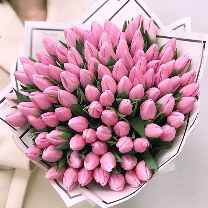 101 розовый тюльпан в белом в Якутске