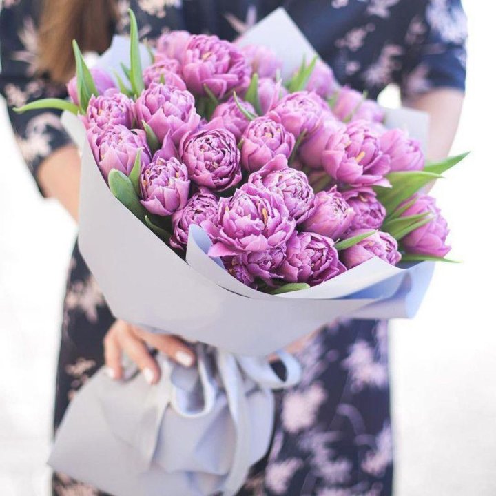 Тюльпаны "Пионс" в Якутске