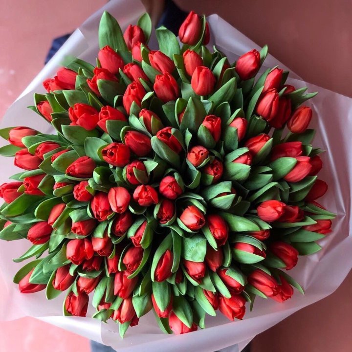 101 красный тюльпан в Якутске