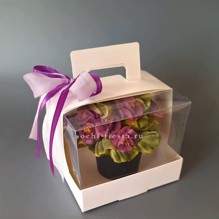  Зефир "Фиалка" в Якутске